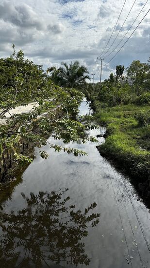 Alles sehr idyllisch und auch sehr sauber.