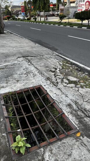 Aber auch hier bin ich erstaunt: die meisten sind abgedeckt !