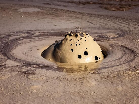 Wie ein Trüffel, der emporsteigt….