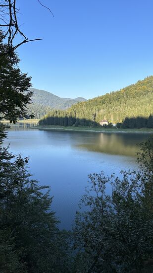 Wir starten schon um 8 Uhr und frühstücken heute unterwegs—gegen 9 Uhr erreichen wir schon den äußeren Zipfel des Vidraru-Sees