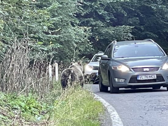Wir sind nicht die einzigen die stoppen um Fotos zu machen
