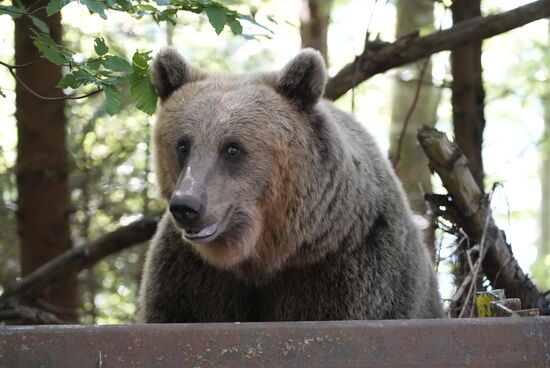 Ganz entspannt beobachtet er uns…