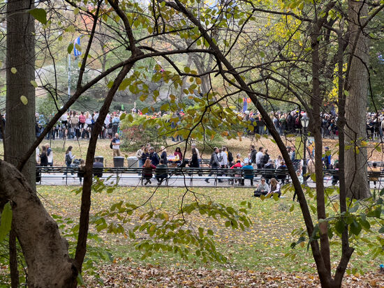 Das Ziel ist im Central-Park—wir sind inzwischen auch gut 10km gelaufen und haben es aber nicht geschafft ihn dort zu treffen. Die U-Bahnen sind brechend voll und wir haben in der ersten auch keinen Platz mehr bekommen. So laufen wir von hier zu unserem Hotel und verabreden uns für später