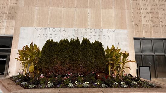 Die Geschichte der USA…..