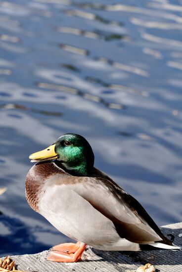 Wir haben noch etwas Zeit bis zu unserer Besichtigung des Museums „American Archives“