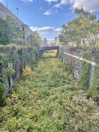 Ich laufe währenddessen zurück Richtung Hotel und entdecke unterwegs diesen wunderschönen „Lost Place“ -ein Trockner Bach…Fluß…? Mit Brücke…