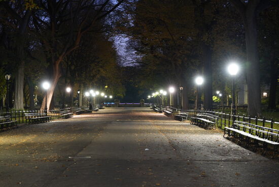 Heute stehen Dennis&amp;Thomas früh auf um den Sonnenaufgang im Central-Park einzufangen