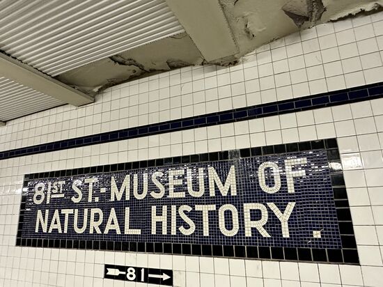 Da sind wir am Museum