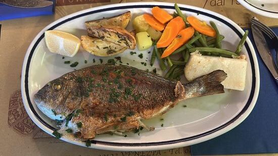 Eine frische Dorado für 20,00 Euro