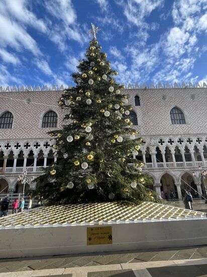 Direkt neben dem Markusplatz, vor dem Palazzo Ducale steht ein wunderschöner Weihnachtsbaum.