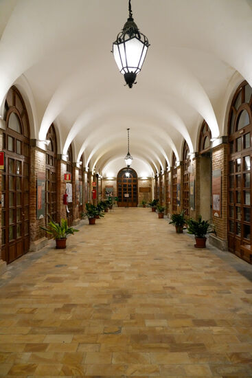 Wir verlassen die Kathedrale und werden auf ein Nebengebäude aufmerksam: die Scuola Grande di San Marco - das Medizinmuseum. Ein sehenswertes Gebäude mit faszinierender Architektur.  Im oberen Stock befindet sich die medizinische Bibliothek. In den angegliederten Gebäuden befindet sich ein aktives Krankenhaus mit einer Vielzahl von Abteilungen aller Disziplinen.