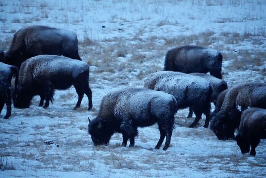 An denen sind wir bestimmt schon vorher in der Dunkelheit vorbeigefahren, ohne sie gesehen zu haben