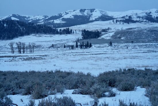 Es sind -12 Grad, aber diese trockene Kälte kann man gut vertragen, weil es auch windstill ist