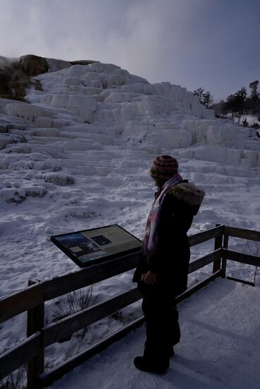 Rund 80% der Parkfläche ist von Nadelwald, überwiegend Kiefern überzogen, der Rest teilt sich in Wiesen und Wasser