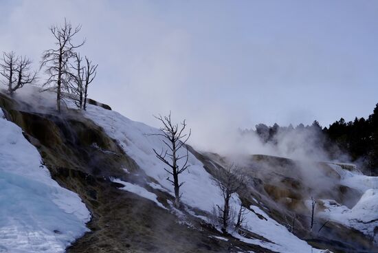 Wir machen einen ausgiebigen Rundgang über die Stege. Diese sollte man nicht verlassen, da sich unter den Schnee-und Eisschichten die heißen Quellen verbergen. Tatsächlich kommen so jährlich einige Menschen durch Verbrühungen ums Leben