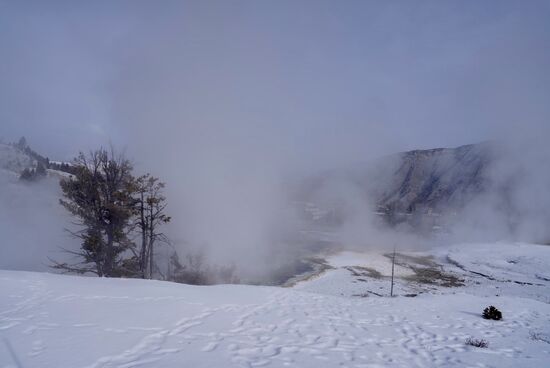 Überall dampft und brodelt es