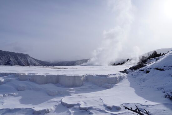 Überall dampft und blubbert es