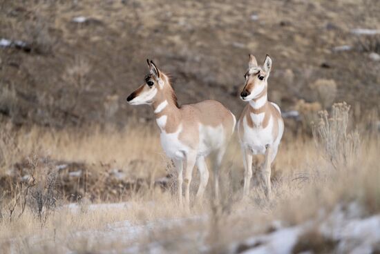 Sie schauen etwas dümmlich drein 