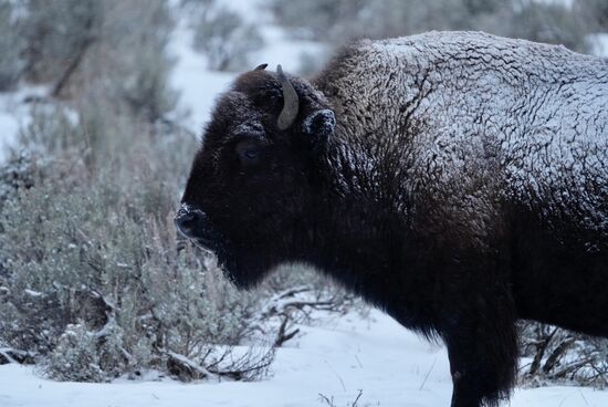 Ein toller Tag geht zu Ende, danke an Dennis für die Organisation und das Fahren.
Er hat uns wirklich sehr gut und sicher durch den Schnee chauffiert