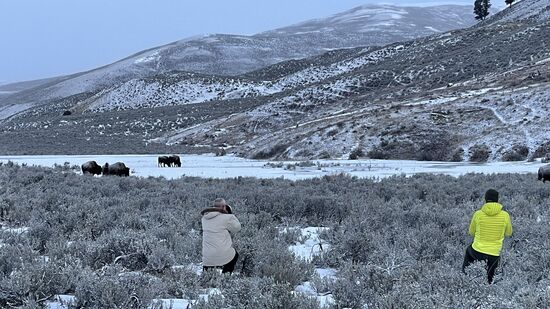 Die beiden fotografieren, was das Zeug hält!
