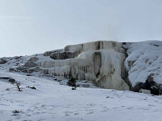 Sie ändern auch ihre Farbe, die - wie bei den heißen Quellen -durch Mikroorganismen verursacht wird