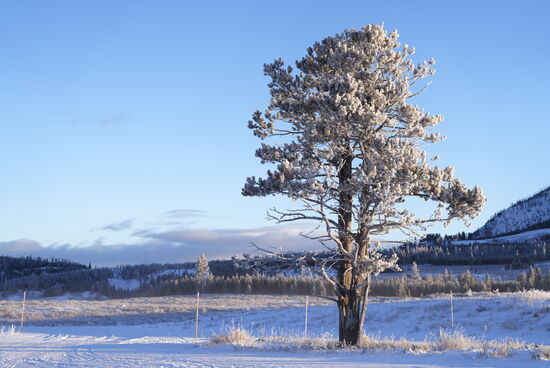Jim stoppt ab und zu, wenn wir ein paar Fotos machen möchten