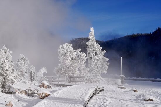 Dieser bizarre Baumüberzug nennt man hier „Snow ghost“ - es entsteht, wenn sich Wasserdampf, der mehr als 100 Grad heiß ist, auf den Bäumen absetzt