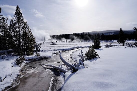 Auf zum „Grand Geyser“ -der soll nun ausbrechen