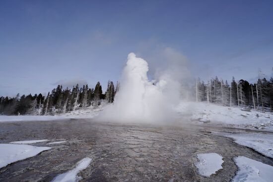 Seine Ausbrüche finden alle 7-15 Stunden statt