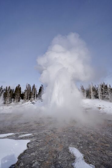 Die Eruption dauert 9-12 Minuten und kann eine Höhe von 60m erreichen