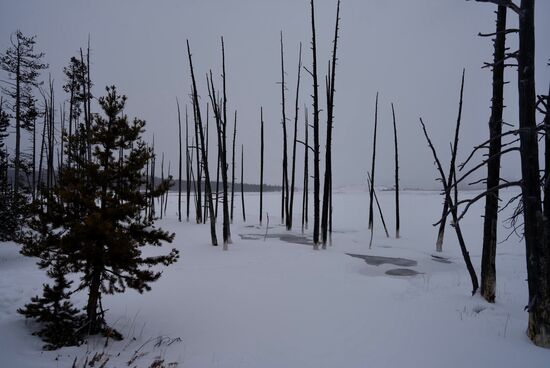 Unser heutiger Fahrer heißt Donald—auch er ist sehr gesprächig und gibt viele Informationen