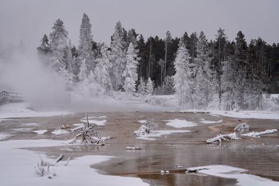 Nach einer halben Stunde Fahrt stoppt er an den „Fountain Paint Pots Trail“
