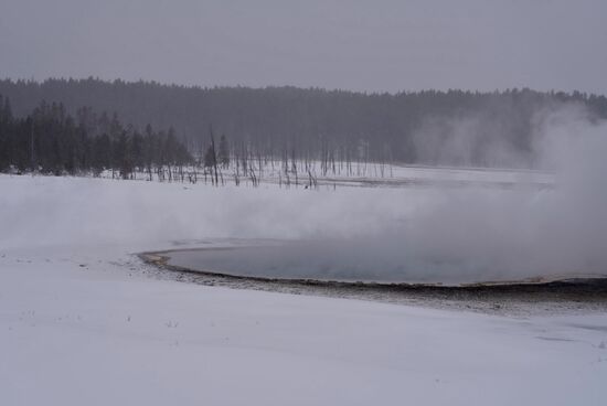 Dieser ca 1km lange Trail führt an vielen hydrothermalen Quellen vorbei