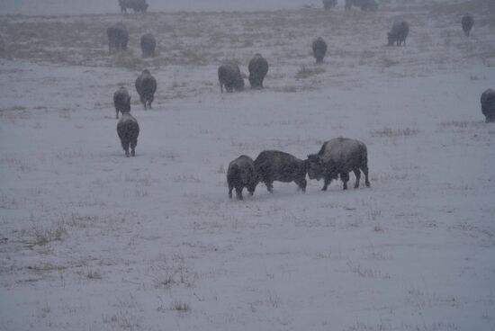 Die 3 bekämpfen sich gerade
