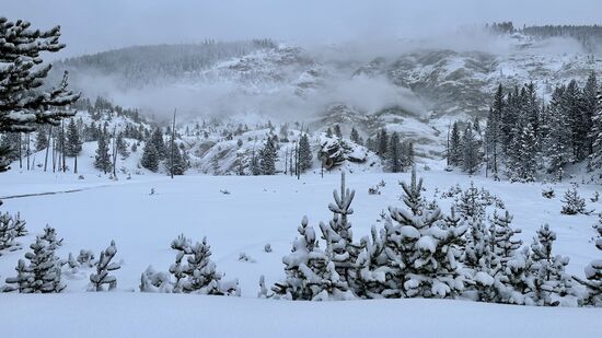 Es gab noch mehr Schnee und überall dampft es aus dem Boden