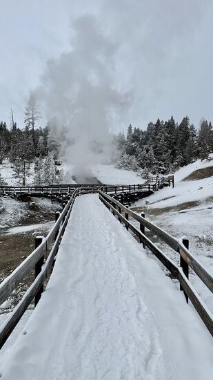 Übrigens muss man erwähnen, dass jeder Snow-Coach Fahrer sehr viele Pausen macht und es viele saubere Toiletten gibt!