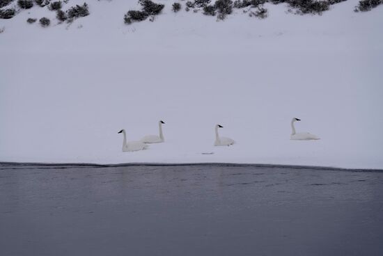 Die frieren wohl nicht