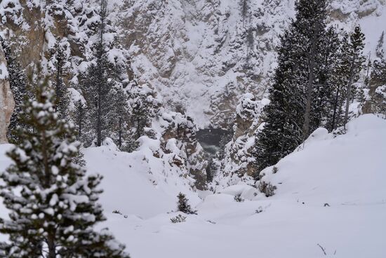 Der Canyon ist sehr beeindruckend.