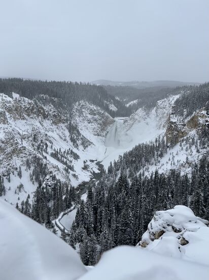 Der Canyon ist eine große V-förmige Schlucht im Yellowstone-Nationalpark, die sich auf 32km Länge zwischen den Ortschaften Tower-Roosevelt und nahe der Canyon Village erstreckt