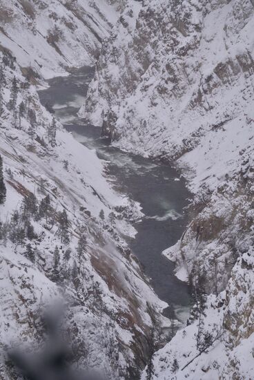 Durch diese 250-400m tiefe und 500-1300m breite Schlucht fließt der Yellowstone-River