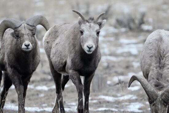 Hier sind sie ganz nah