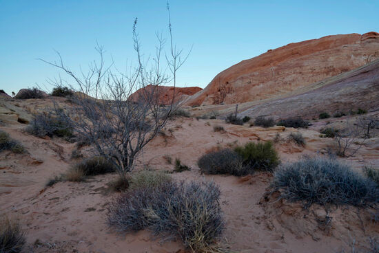 So stellt man sich den Wilden Westen vor.
