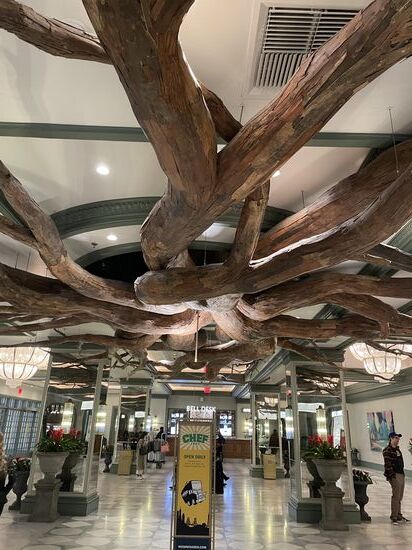 Im Untergeschoß des MGM befindet sich eine große Baumwurzel an der Decke, sodass einem das Gefühl vermittelt werden soll, dass wir unter der Erde sind