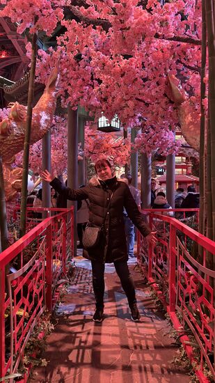 Direkt hinter der Rezeption ist der Botanische Garten des Hotels zu finden. Die Indoor-Ausstellung wechselt alle paar Monate, hat häufig asiatische Themen.