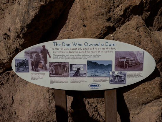 Die Geschichte des Hundes vom Hoover Damm: Er war über Jahre das Maskottchen der Bauarbeiter und wurde von ihnen versorgt. Sein Leben endete tragisch: er wurde von einem Baufahrzeug überfahren