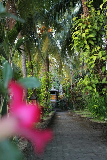typisch Bali - ein üppiger Garten samt kleinem Opfertempel