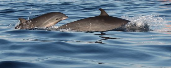 ...gings auf Tuchfühlung...