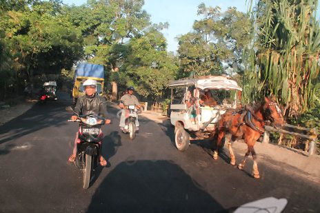 "Cidemo" - so heißen die auf Lombok durchaus noch üblichen Pferdekutschen