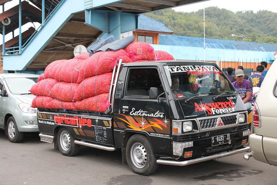 VOLL die Chilischoten