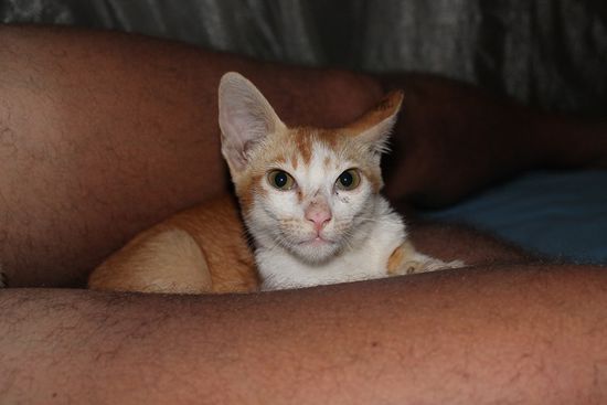 liebeVOLLes Plätzchen